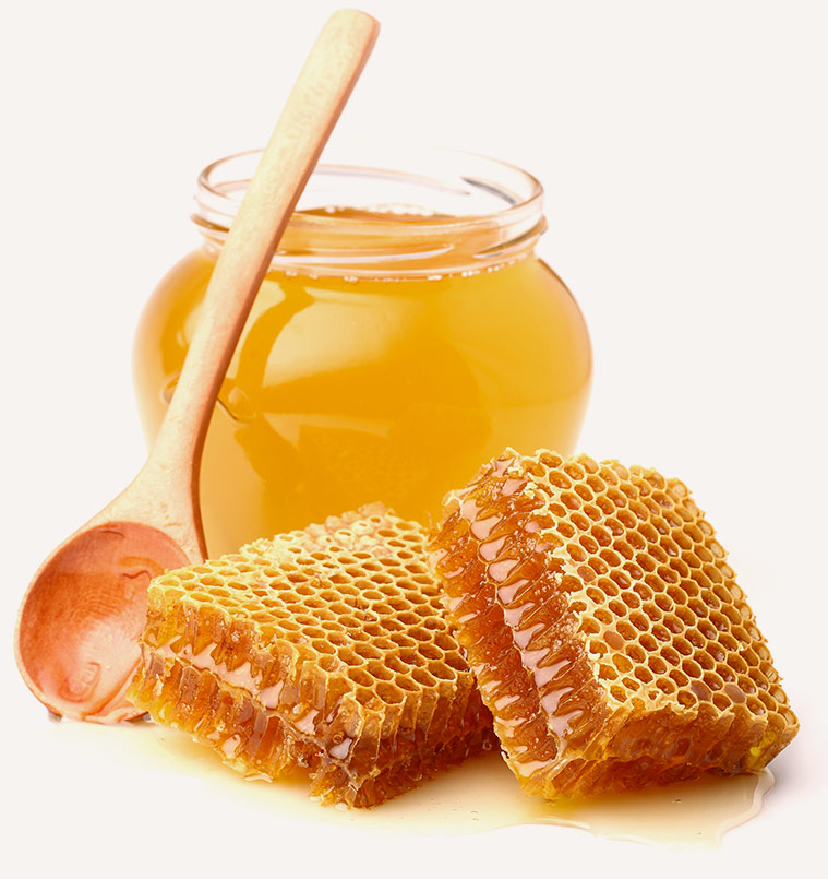 Vente de miel Toulon